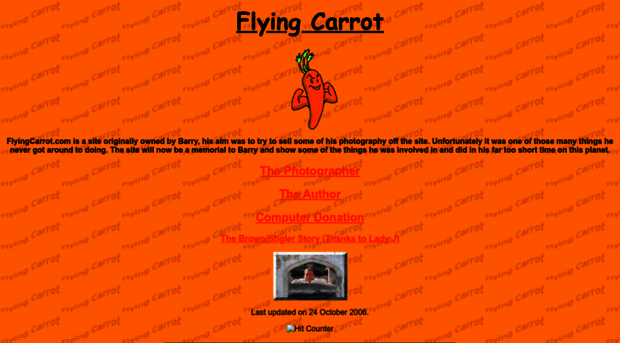 flyingcarrot.com