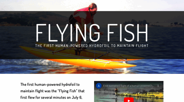 flyingfishhydrofoil.com