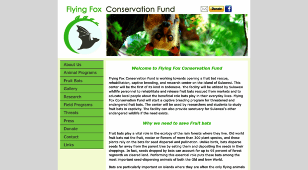 flyingfoxconservationfund.com