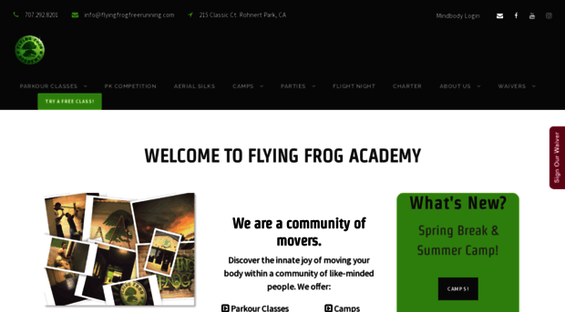 flyingfrogacademy.com