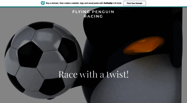 flyingpenguinracing.com