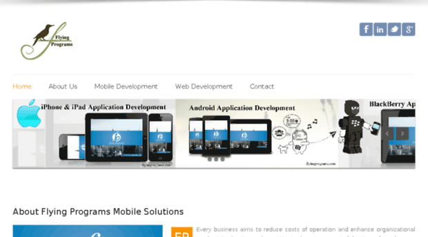 flyingprograms.com
