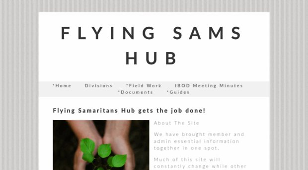 flyingsams.org