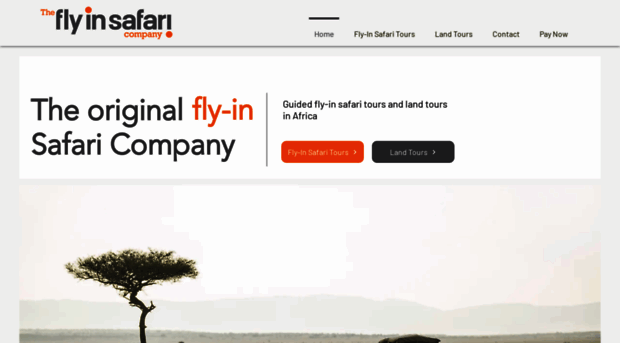 flyinsafarico.com