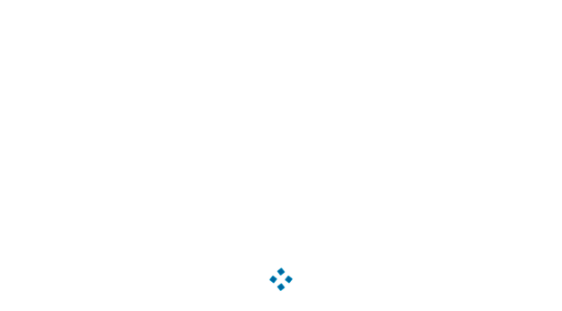 flyscanneronline.com
