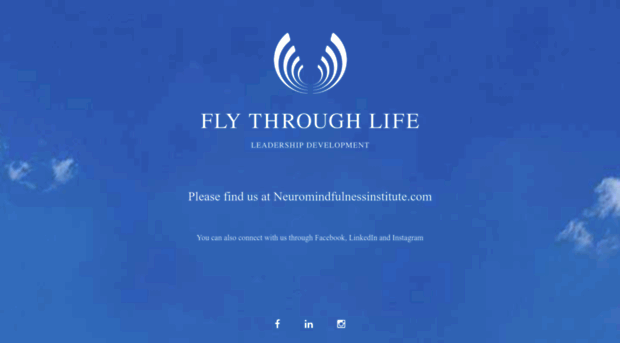 flythroughlife.com
