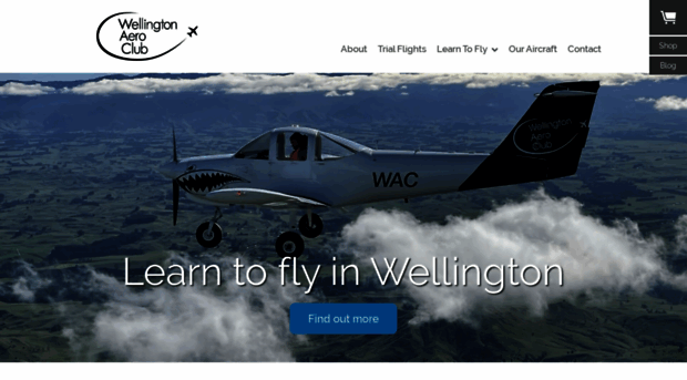 flywellington.co.nz