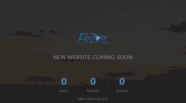 flyzonefishing.com