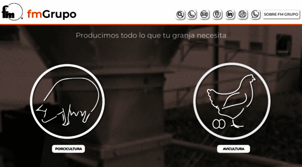 fmgrupo.com