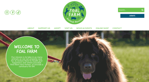 foalfarm.org.uk