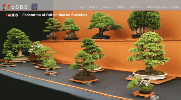 fobbsbonsai.co.uk