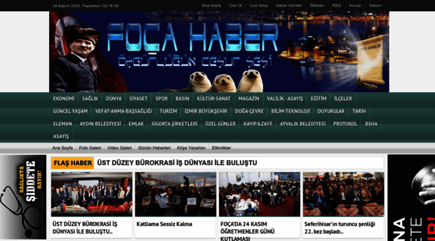 focahaber.com