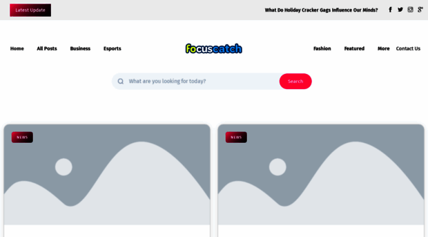 focuscatch.co.uk