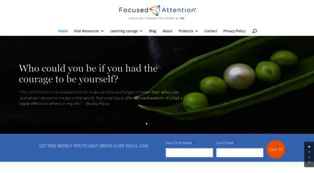 focusedattention.com