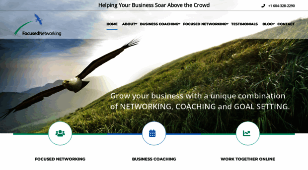 focusednetworking.com