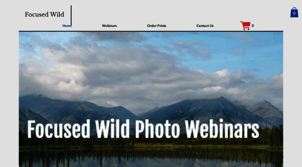 focusedwild.com