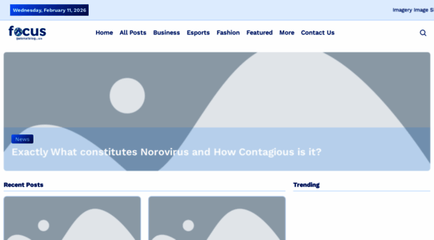 focusglobalblog.uk