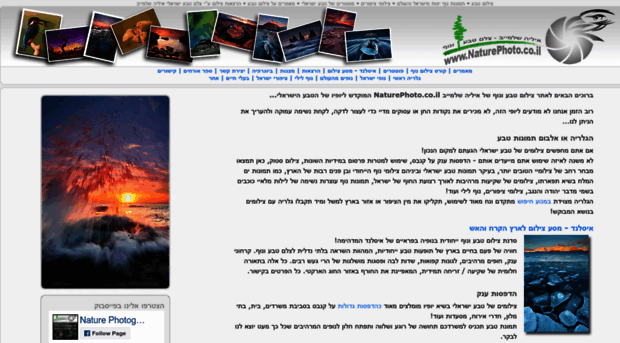 focuswildlife.com