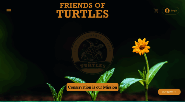 fof-turtles.com