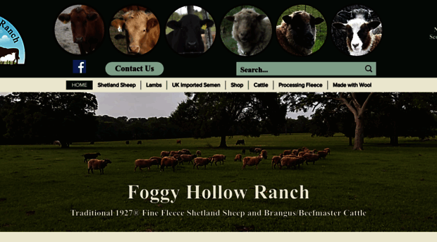 foggyhollowranch.com