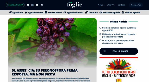 foglie.tv