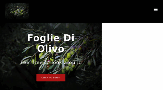 foglieolivo.com