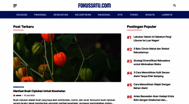 fokussatu.com