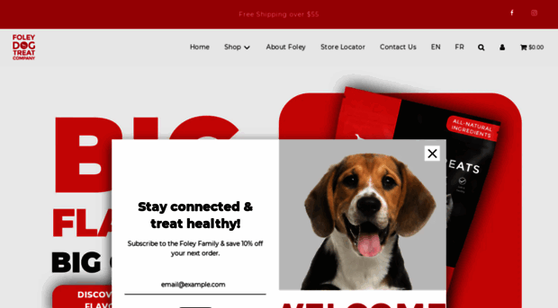 foleydogtreat.com