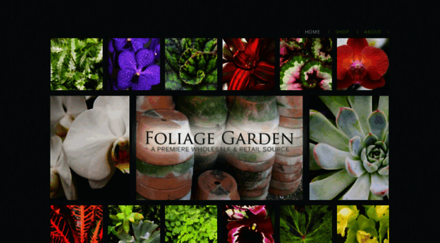 foliagegarden.com