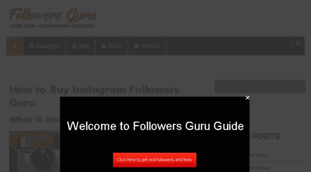 followersguru.net