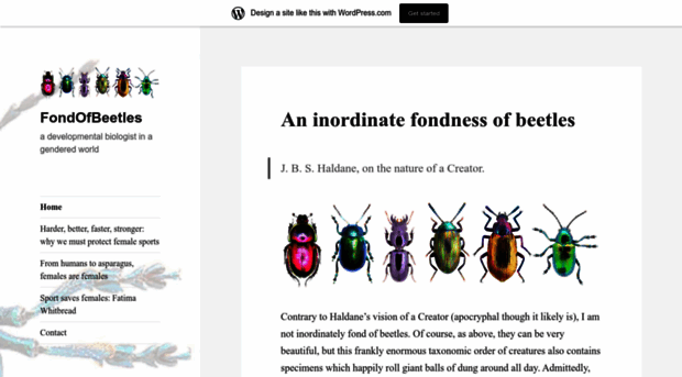 fondofbeetles.wordpress.com