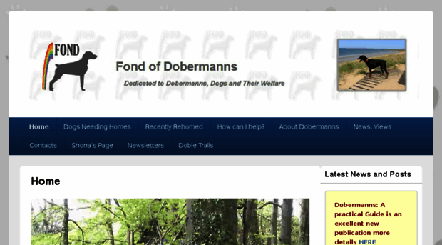 fondofdobermanns.org.uk