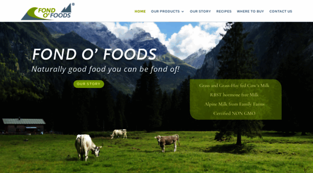 fondofoods.com