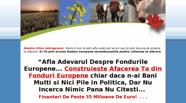fonduri-agricultura.afaceri-agricole.eu