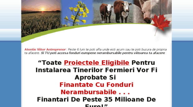 fonduri-nerambursabile.afaceri-agricole.eu
