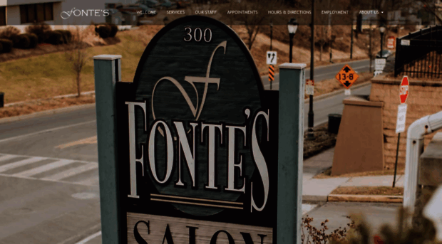 fontessalon.com