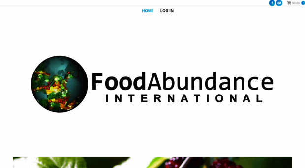 foodabundance.com