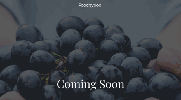 foodgypoo.com