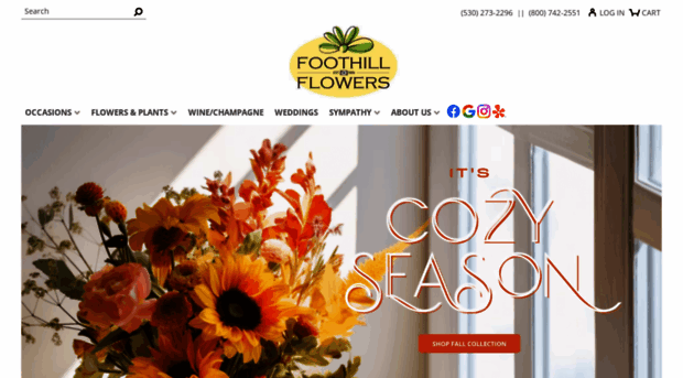 foothillflowers.com