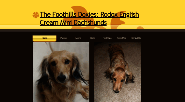 foothillsdoxies.yolasite.com