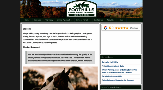 foothillsmobilevet.com