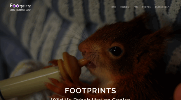 footprintswildlife.org