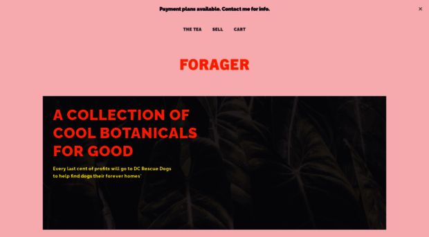 forager.co.nz