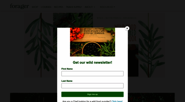 forager.org.uk