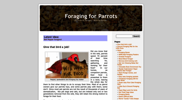 foragingforparrots.com