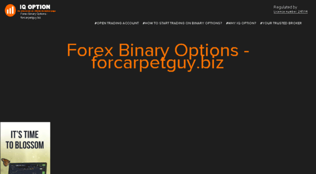 forcarpetguy.biz