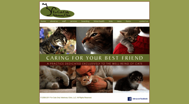 forcatsonlyvet.com