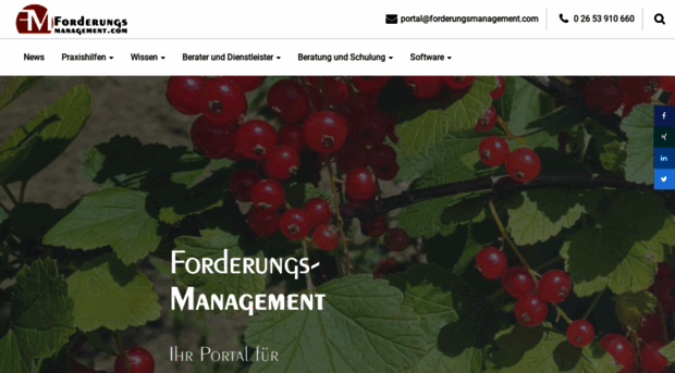 forderungsmanagement.com