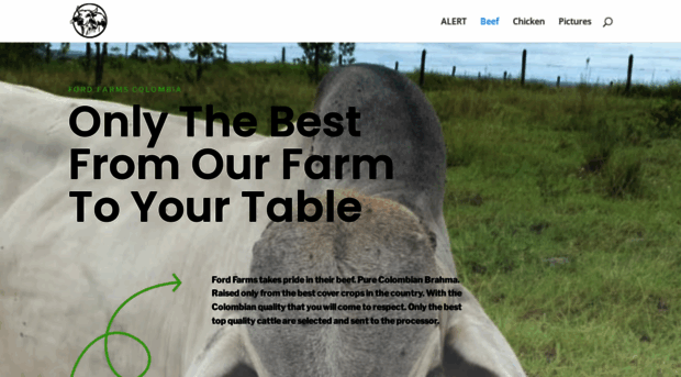 fordfarms.com.co