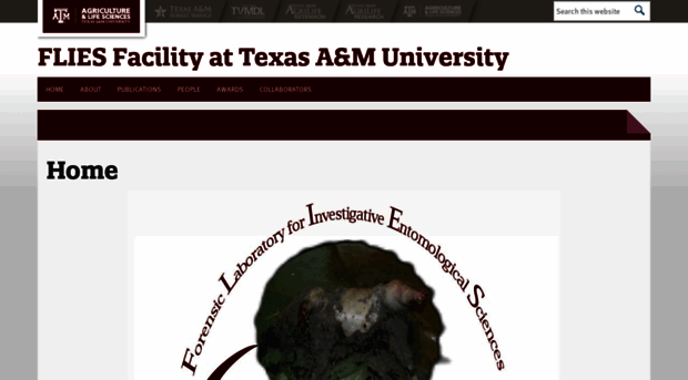 forensicentomology.tamu.edu